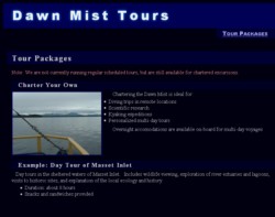 Dawn Mist Tours