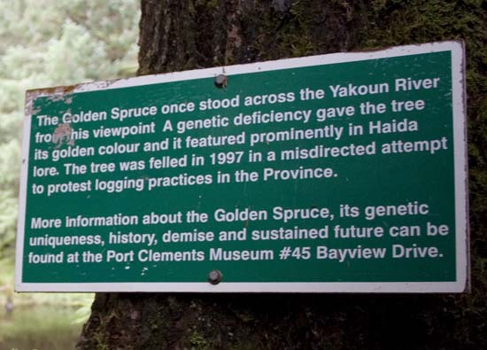 Sign marking the spot of the Golden Spruce